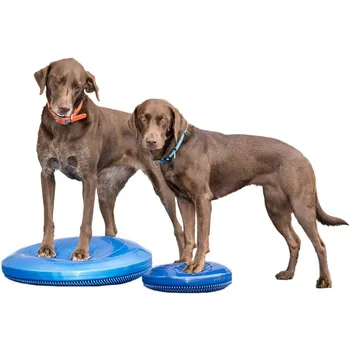 Собаки Балансировочный диск для домашних животных Фитнес Реабилитационные упражнения Укрепление основных мышц Конечностей Отлично подходит Для начинающих Тренировка баланса