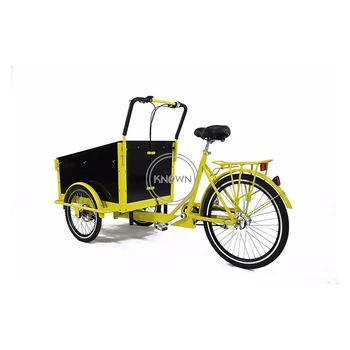 Новый Дизайн Электрического Семейного Грузового Велосипеда Взрослый Трехколесный Велосипед для Транспорта и покупок продуктов 6 Скоростей передачи 250 Вт Настраиваемый