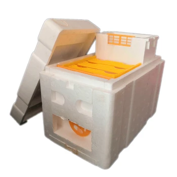 X54 Mini Nuc Оптом Комплектный Мини-Улей для Спаривания с Пластиковыми Рамками Съемный Питатель Пчеловодческий Ящик Для Опыления Nuc Beehive